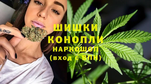 spice Куйбышев