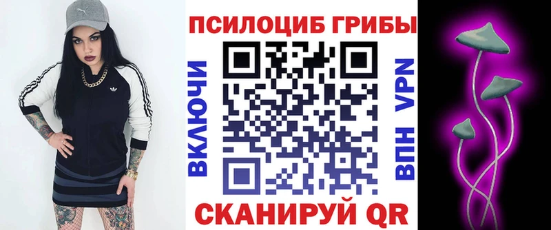 Псилоцибиновые грибы мицелий  Купить закладки  Карпинск 
